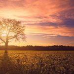 Τι περιλαμβάνει μια συνεδρία ψυχοθεραπείας;